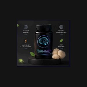 Melena de León - Neuro-Adaptógeno